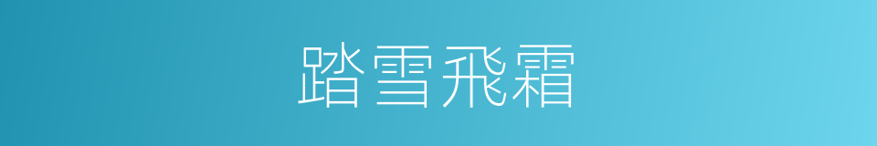 踏雪飛霜的同義詞