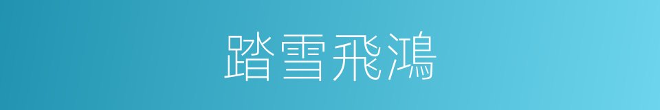 踏雪飛鴻的同義詞
