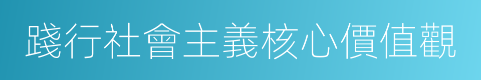 踐行社會主義核心價值觀的同義詞