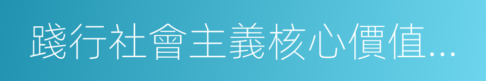 踐行社會主義核心價值體系的同義詞