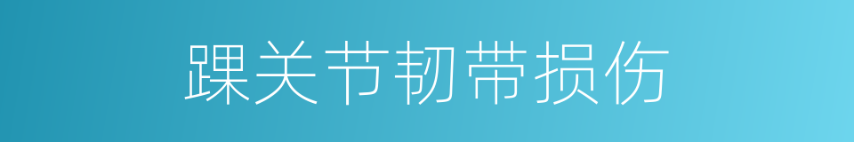 踝关节韧带损伤的同义词