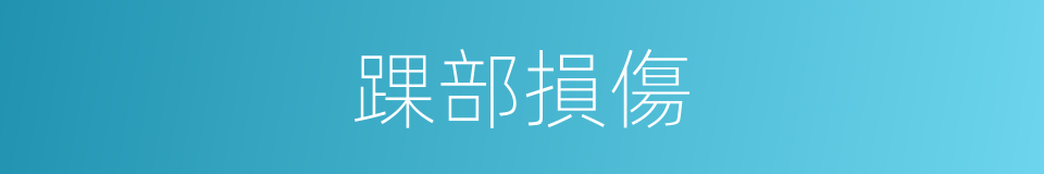 踝部損傷的同義詞