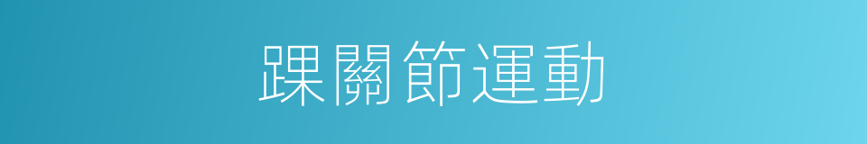 踝關節運動的同義詞