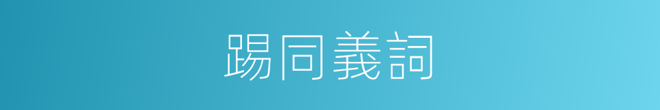 踢同義詞的意思