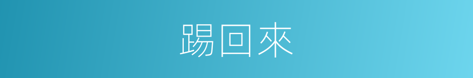踢回來的同義詞