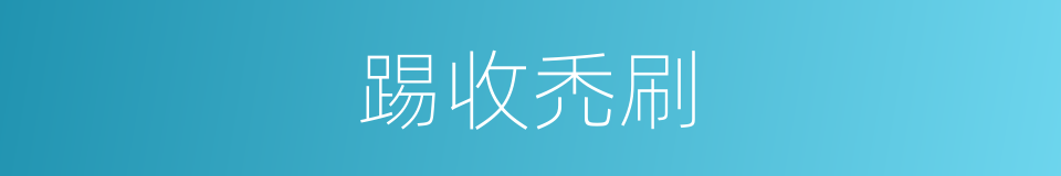 踢收禿刷的意思