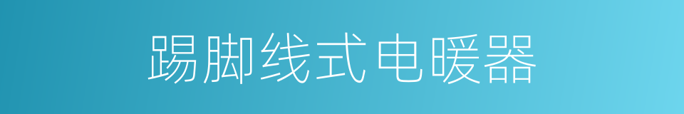 踢脚线式电暖器的同义词