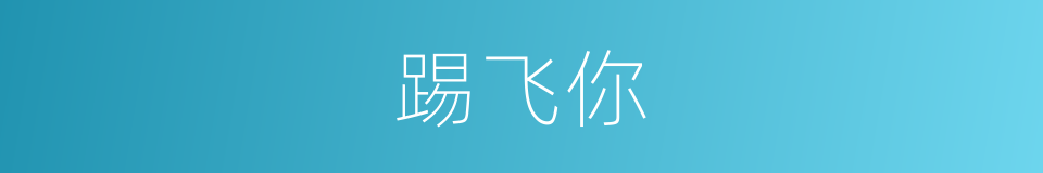 踢飞你的同义词