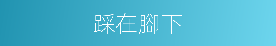 踩在腳下的同義詞