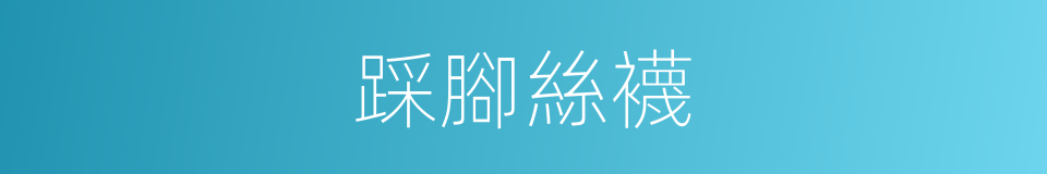 踩腳絲襪的同義詞