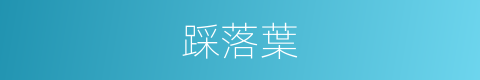 踩落葉的同義詞