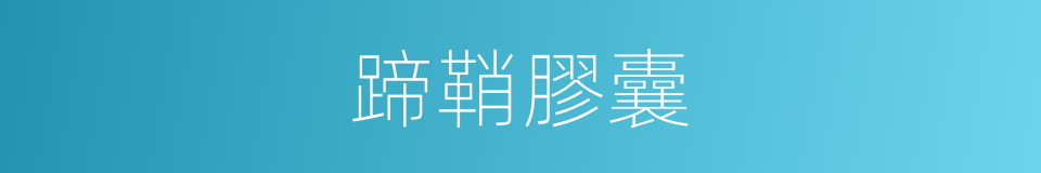蹄鞘膠囊的同義詞