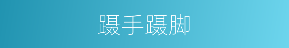 蹑手蹑脚的意思