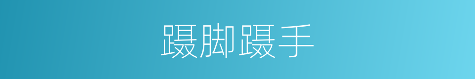 蹑脚蹑手的意思