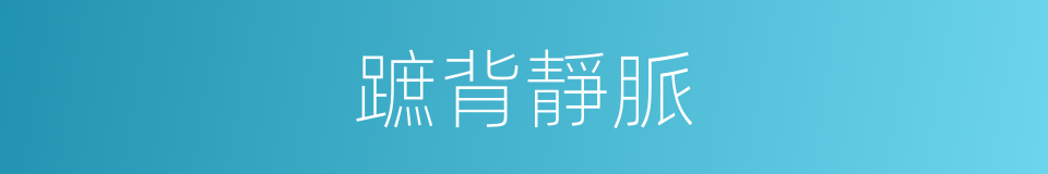 蹠背靜脈的同義詞