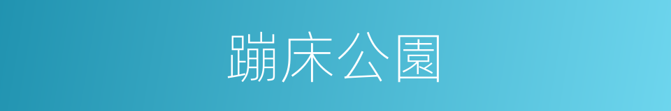 蹦床公園的同義詞