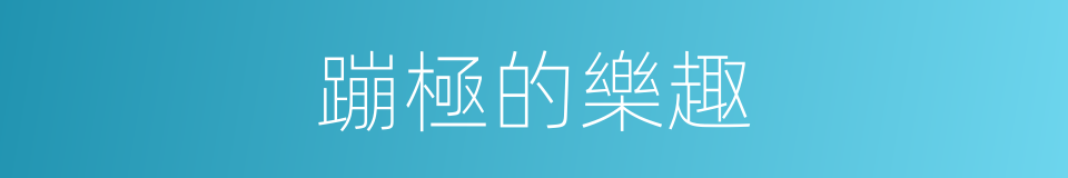蹦極的樂趣的同義詞