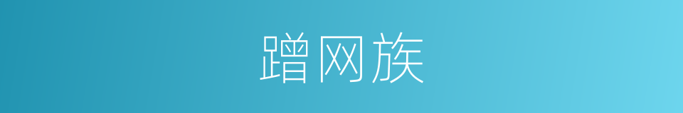 蹭网族的同义词