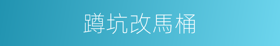 蹲坑改馬桶的同義詞