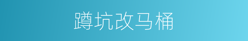 蹲坑改马桶的同义词