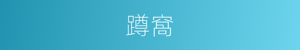 蹲窩的意思
