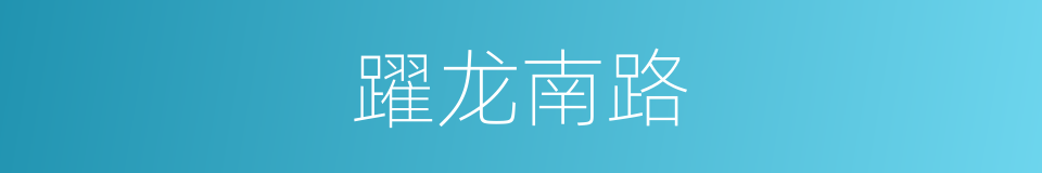 躍龙南路的同義詞