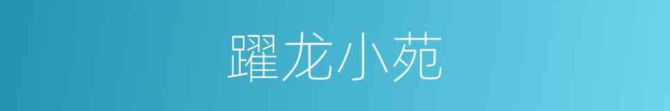 躍龙小苑的同義詞