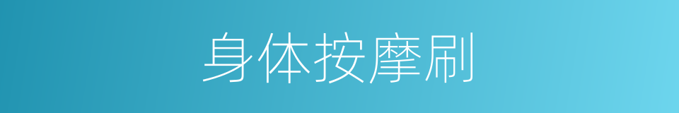 身体按摩刷的同义词