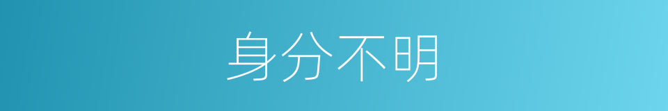 身分不明的意思