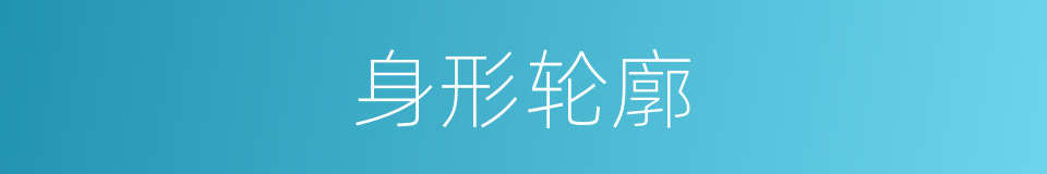 身形轮廓的同义词