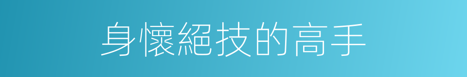 身懷絕技的高手的同義詞