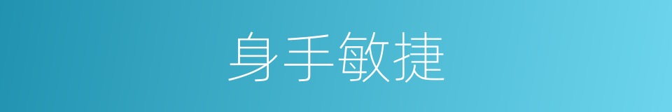 身手敏捷的意思