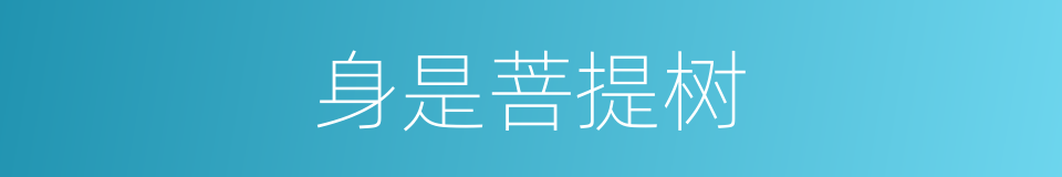 身是菩提树的同义词