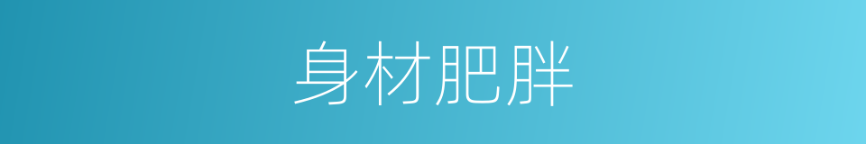 身材肥胖的同义词