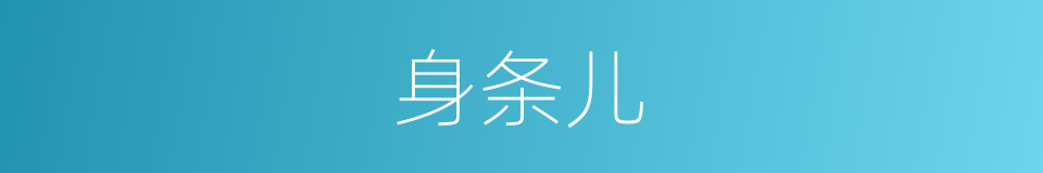 身条儿的意思