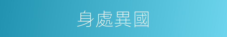身處異國的同義詞