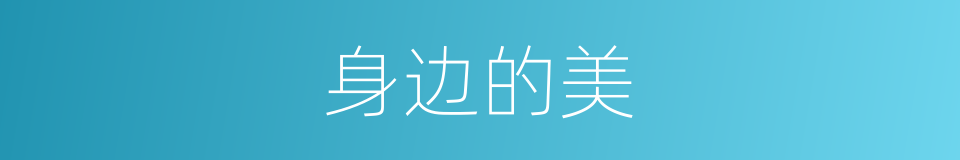 身边的美的同义词