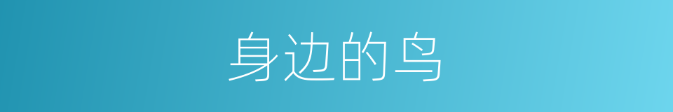 身边的鸟的同义词