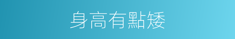 身高有點矮的同義詞