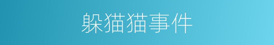 躲猫猫事件的同义词