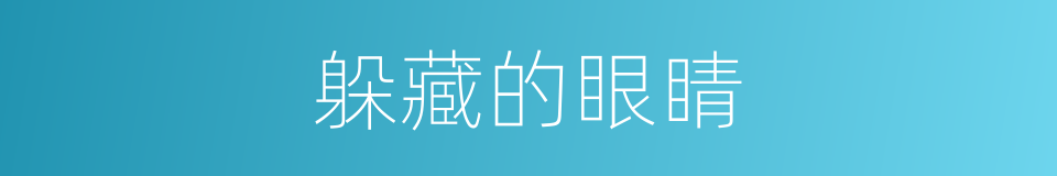 躲藏的眼睛的同义词