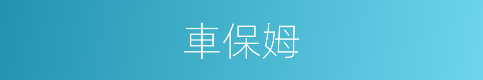 車保姆的同義詞