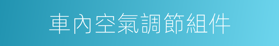 車內空氣調節組件的同義詞