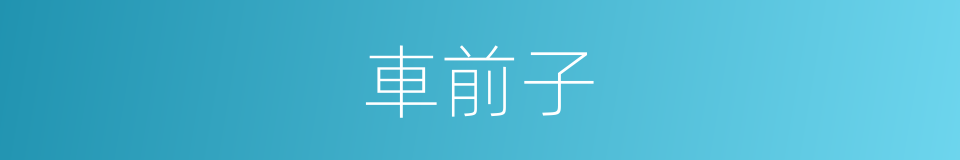 車前子的意思