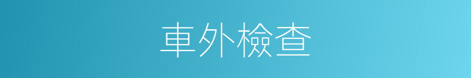 車外檢查的同義詞