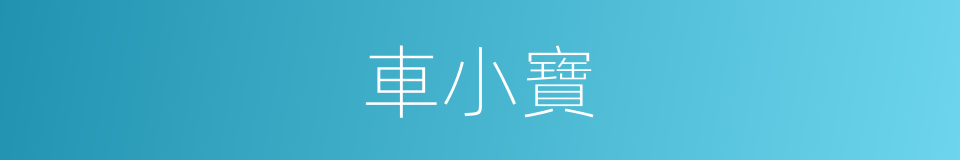 車小寶的同義詞