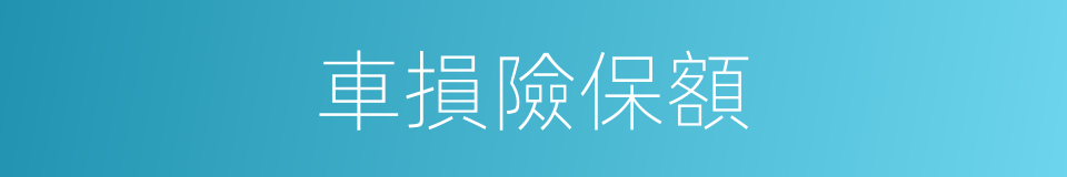 車損險保額的同義詞