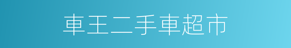 車王二手車超市的同義詞