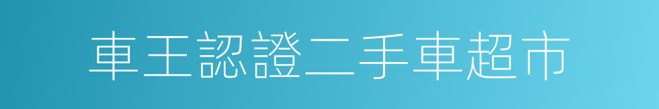 車王認證二手車超市的同義詞