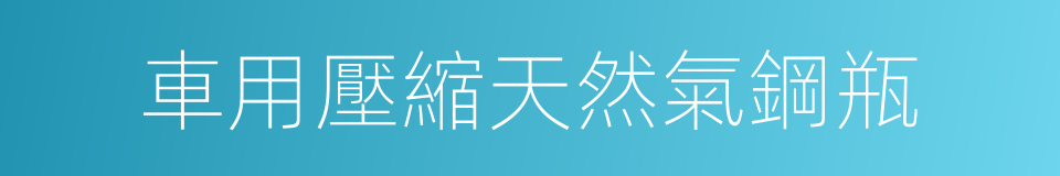 車用壓縮天然氣鋼瓶的同義詞